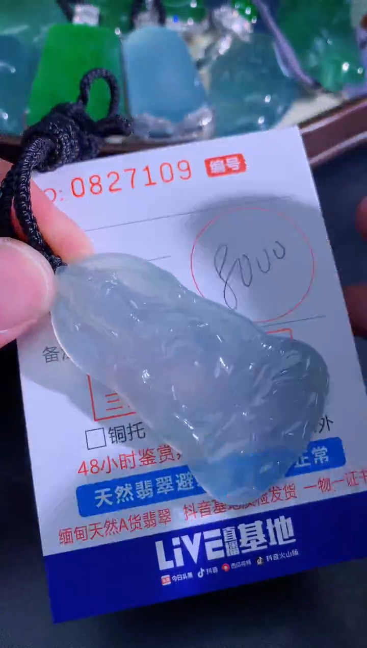 颈饰未镶嵌翡翠天然A货翡翠