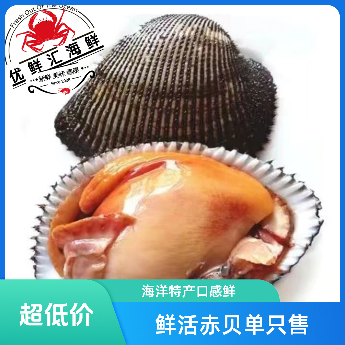 4-5两/只 鲜活赤贝（单只装）刺身