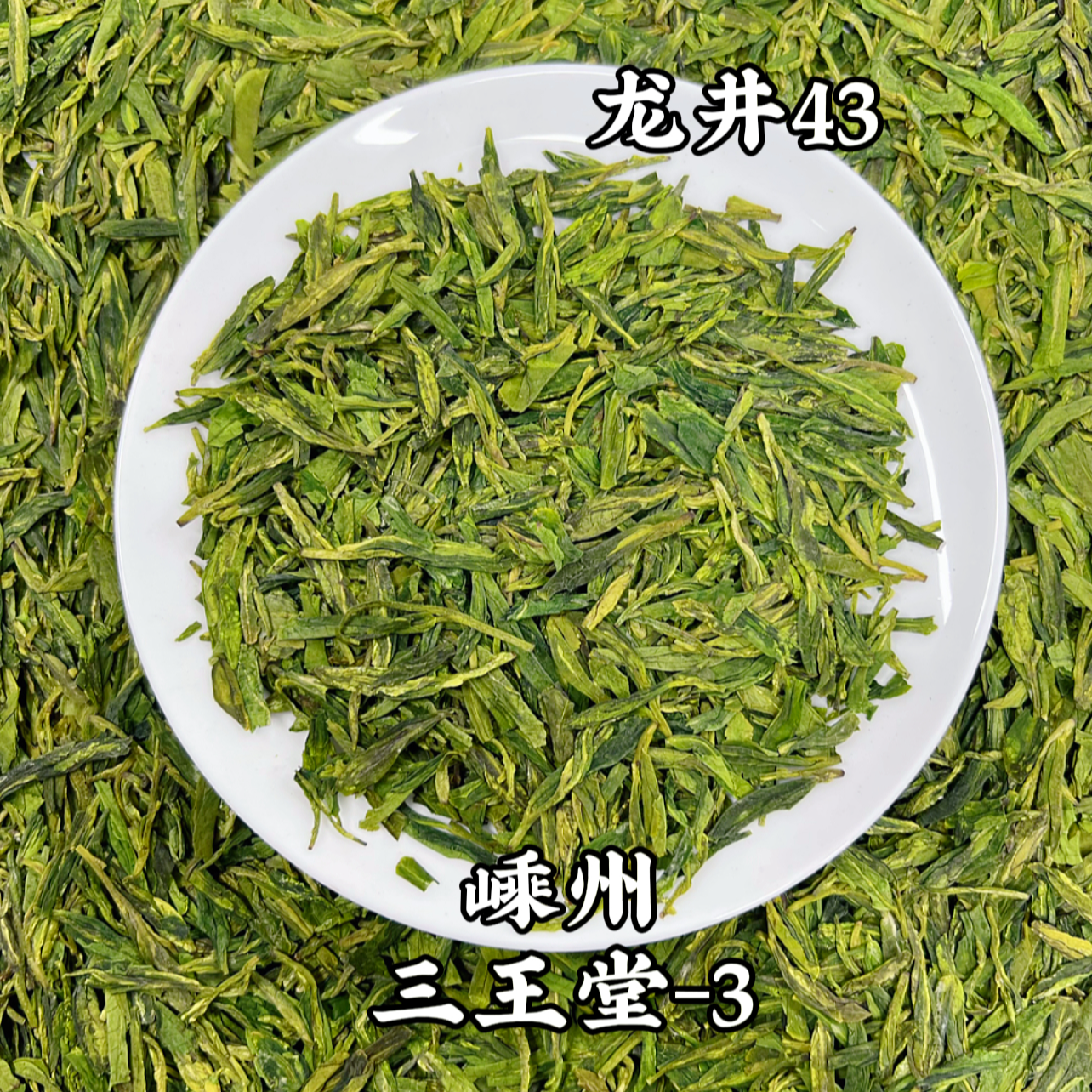 1-2-8*【嵊州三王堂】龙井43「绿汤浓香」口粮茶茶叶
