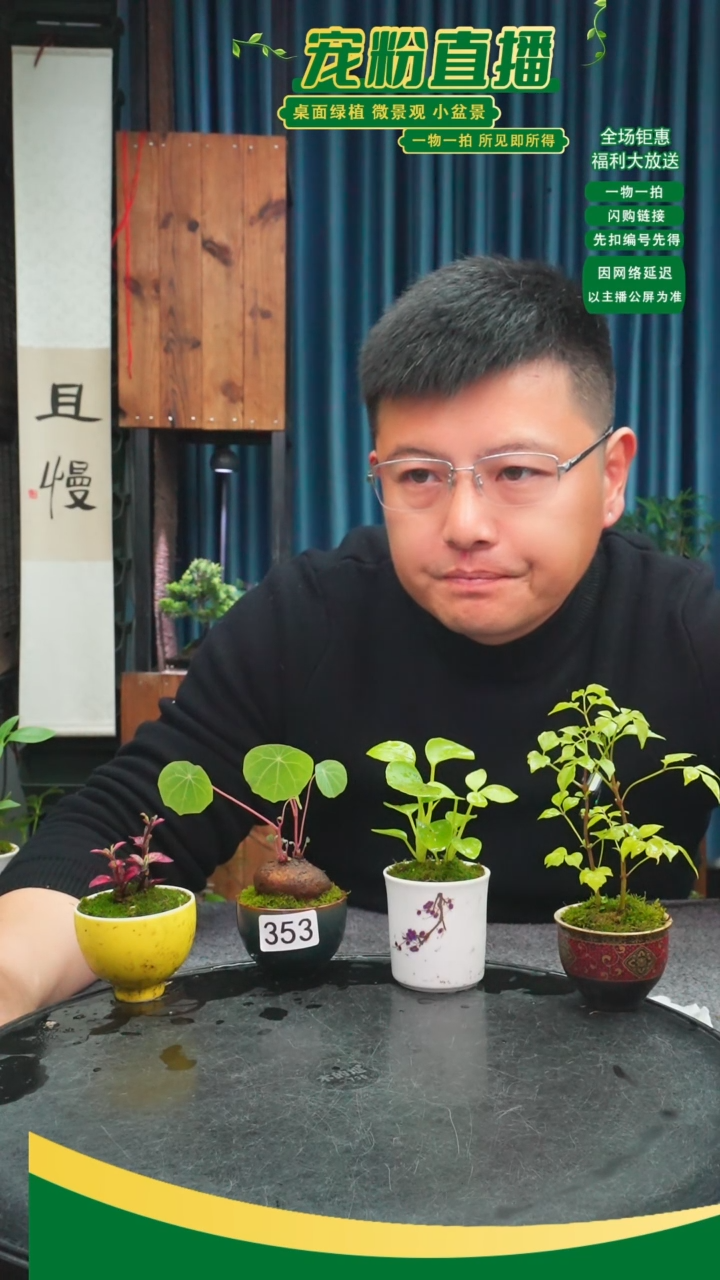 无花朵空**物苔藓微景观353号