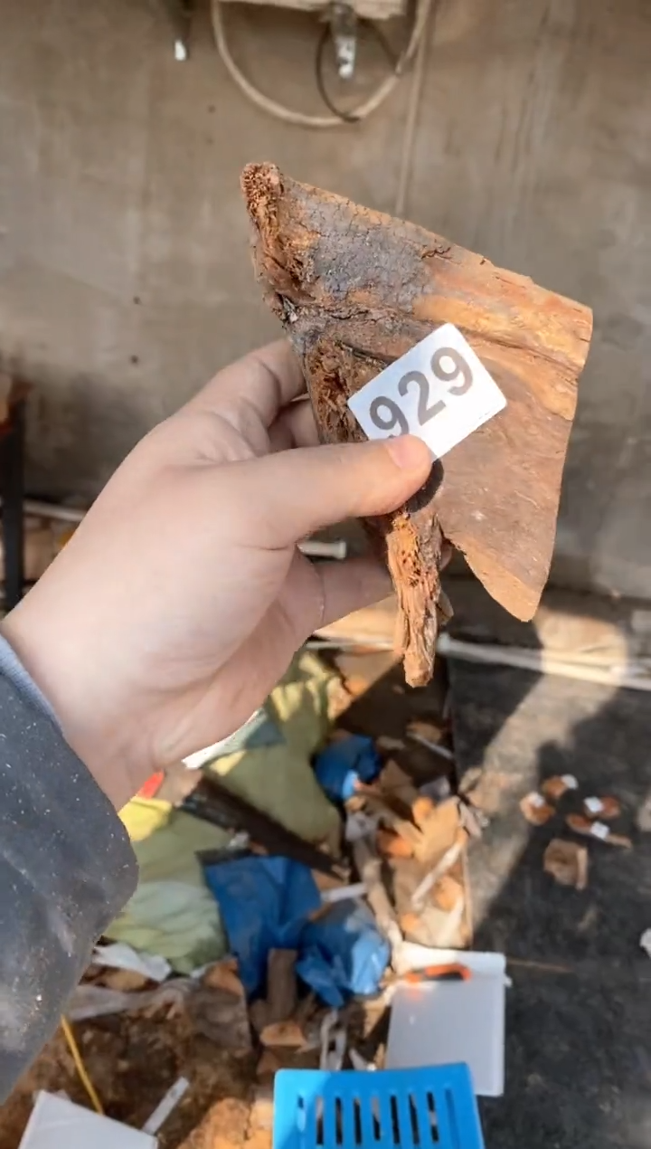 【闪购商品】柏木太行陈化崖柏（津诚林）切片
