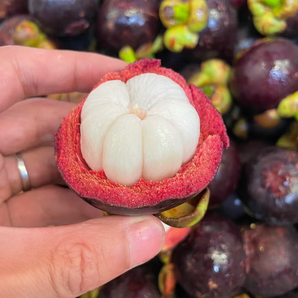 泰国5A山竹 新鲜到货 摘至40年树龄老树麻竹 3斤、5斤装