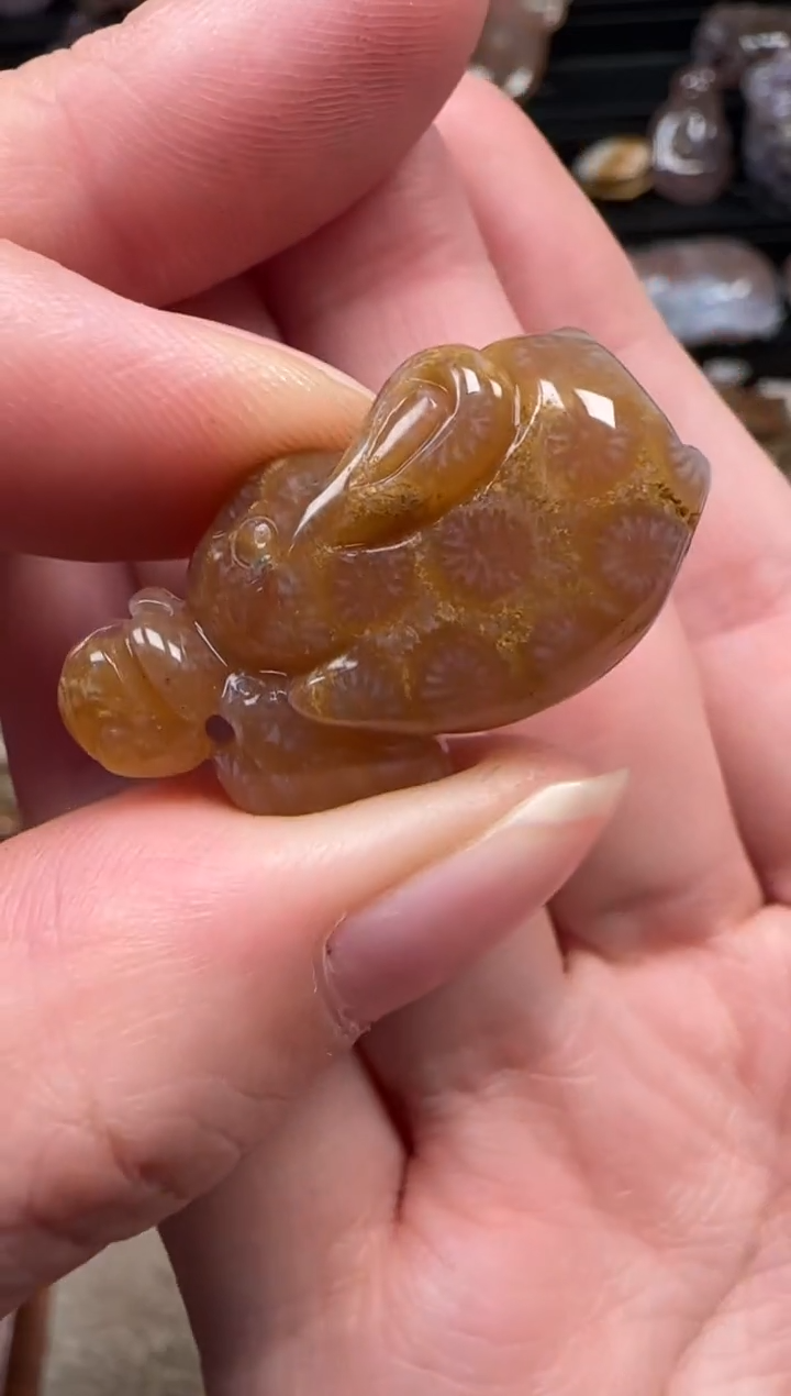 颈饰未镶嵌硅化珊瑚（珊瑚玉）715