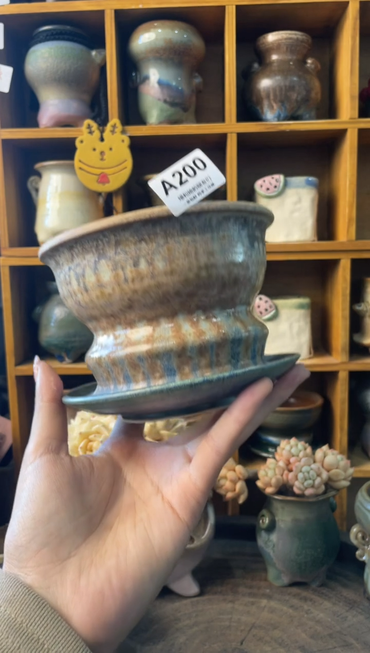 波****o200【多肉花盆多肉盆】