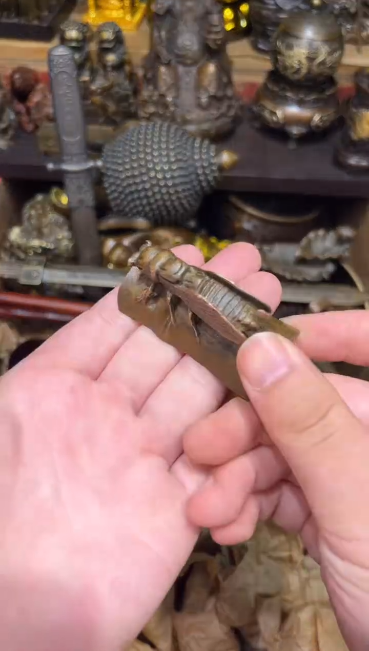 S瑞瑞古铜阁专属链接6