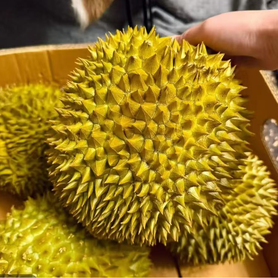 佳AB畸形果 B果【一物一拍】泰国进口金枕头鲜果榴莲 顺丰次日达 19.9/斤 新鲜榴莲 核小厚肉金枕金枕泰国东部