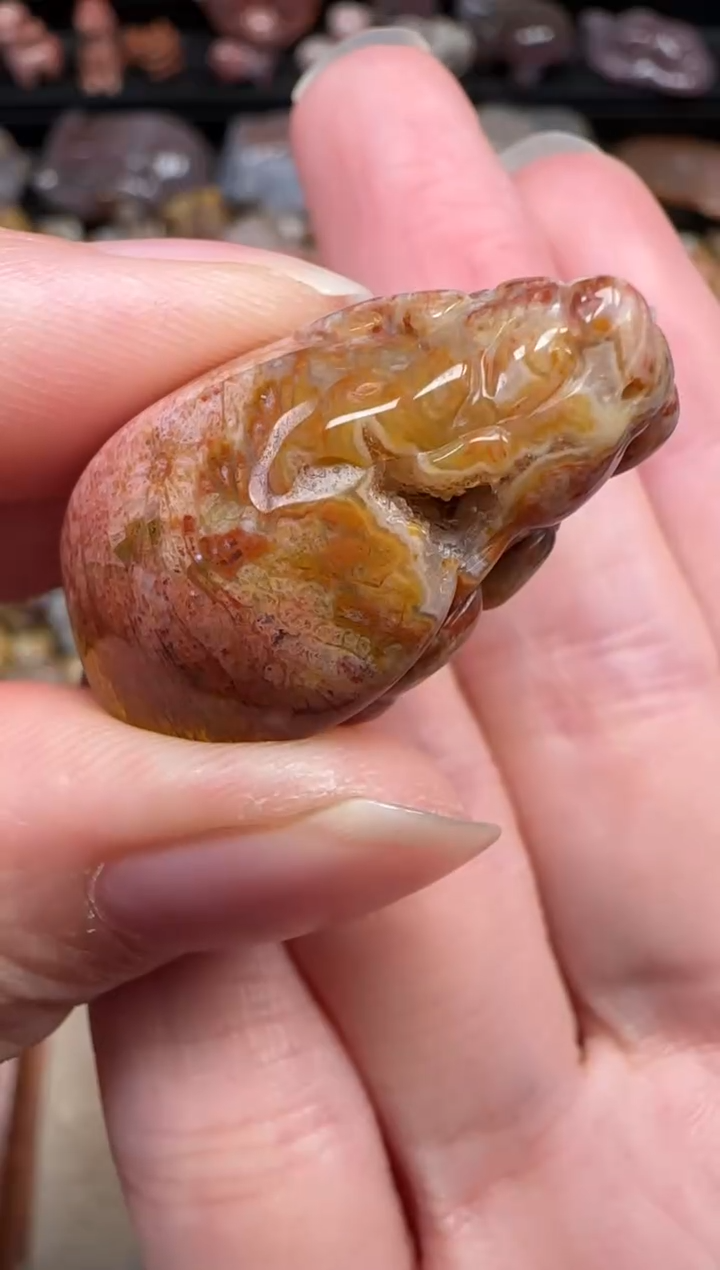 颈饰未镶嵌硅化珊瑚（珊瑚玉）418