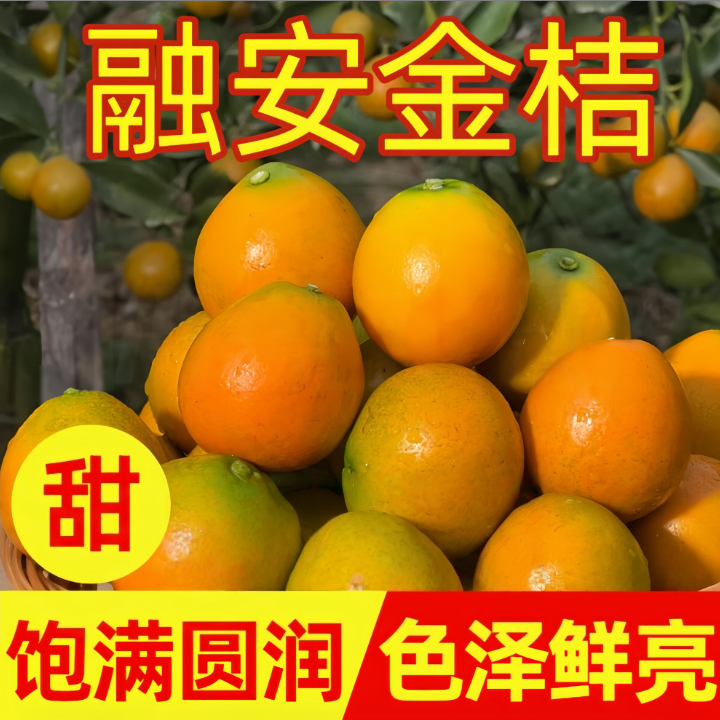 【荣哥专属】A广西融安脆蜜金柑纯甜无酸冰糖心现摘新鲜水果2斤