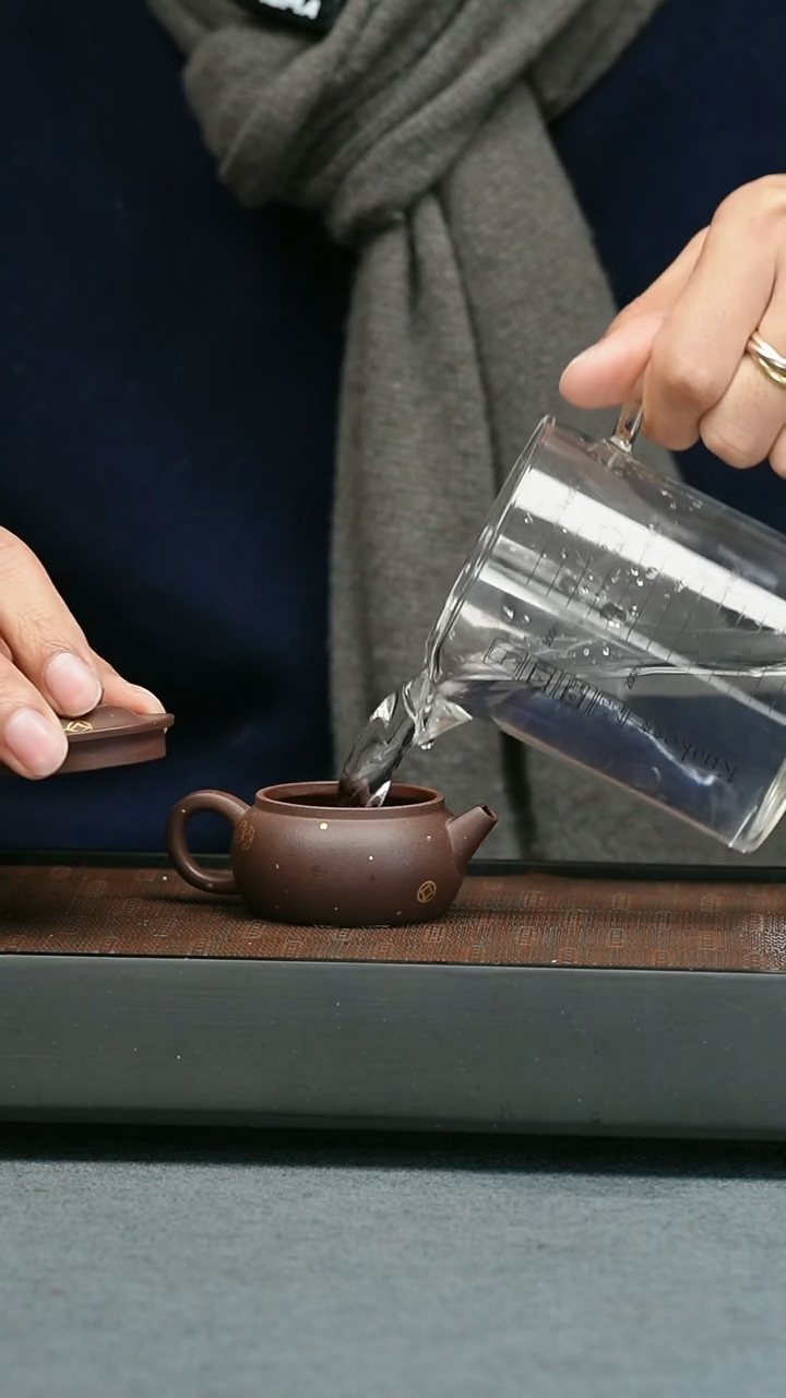 【闪购商品】紫砂茶壶五堂 金宝轮