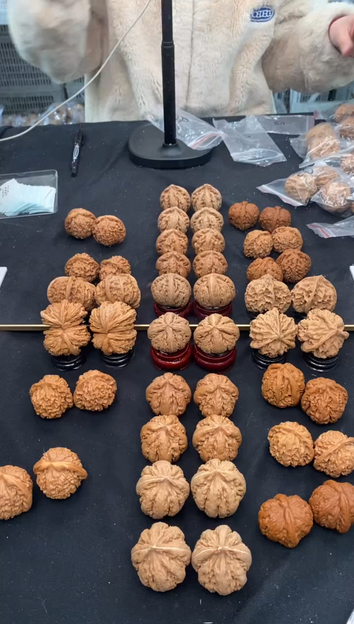 【闪购商品】文玩核桃把件霸王龙39/40/41