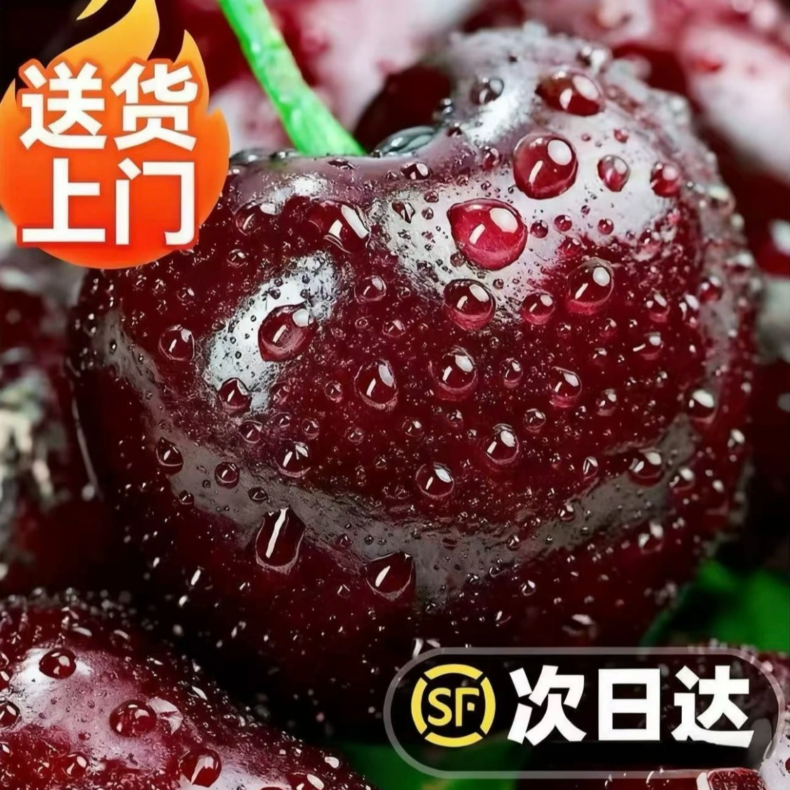 【顺丰次日达】2-3JD净重5斤智利海运桑提娜车厘子新鲜头茬果内附果径卡桑提娜樱桃智利共和国