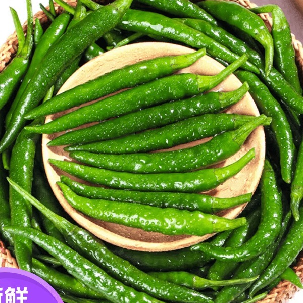 贵州开阳农家自种小米辣青辣椒露天种植