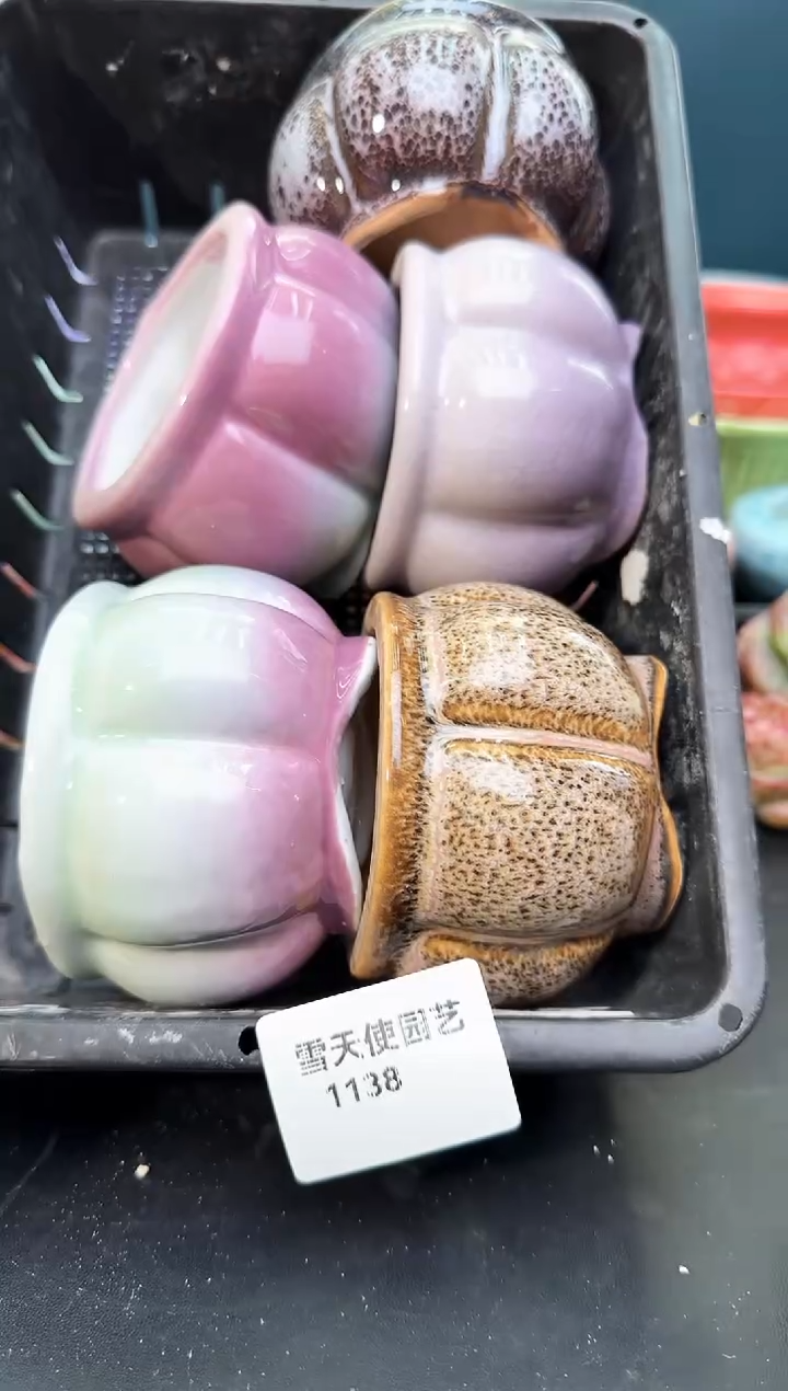 1138  小南瓜盆 5 个默认微瑕