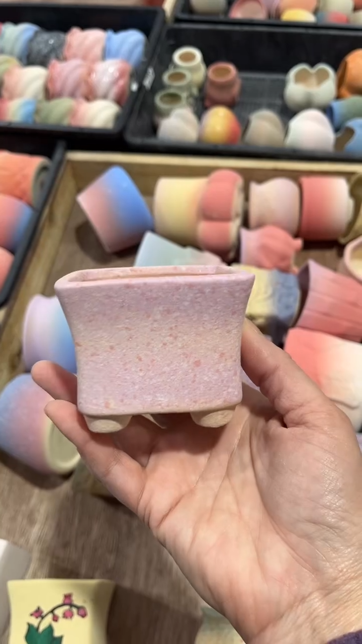 【闪购商品】陶内口  7 内高6