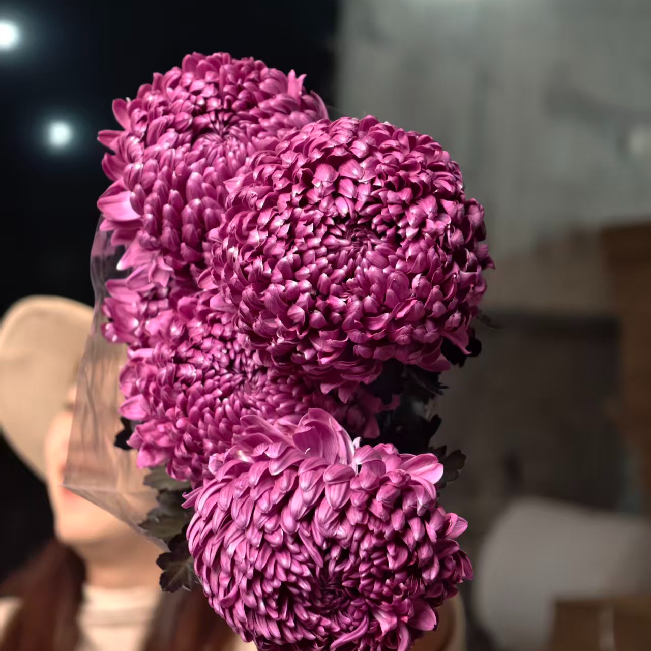 A级稀有乌梅子酱牡丹菊一扎（5支）