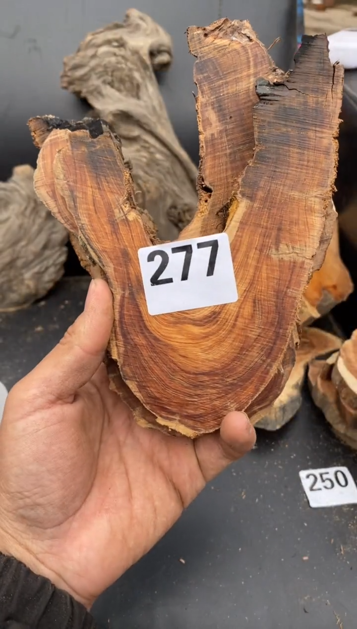 柏木（崖柏）太行陈化崖柏！随机（1单1片）277