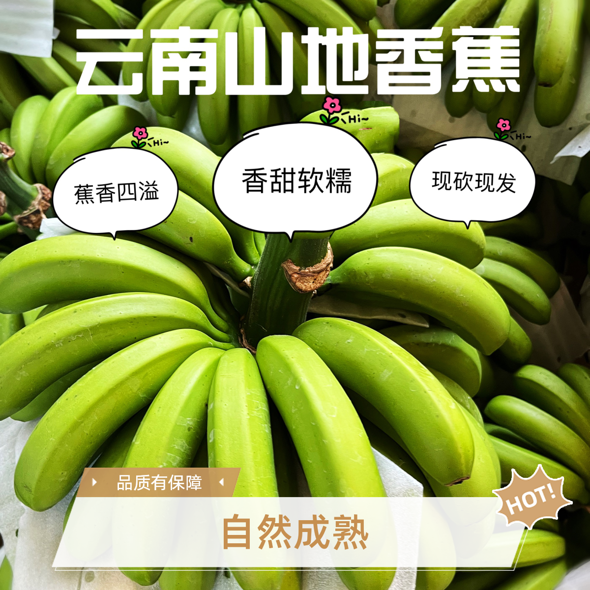 高山香蕉新鲜水果香甜软糯【绿皮】香蕉自然成熟包邮