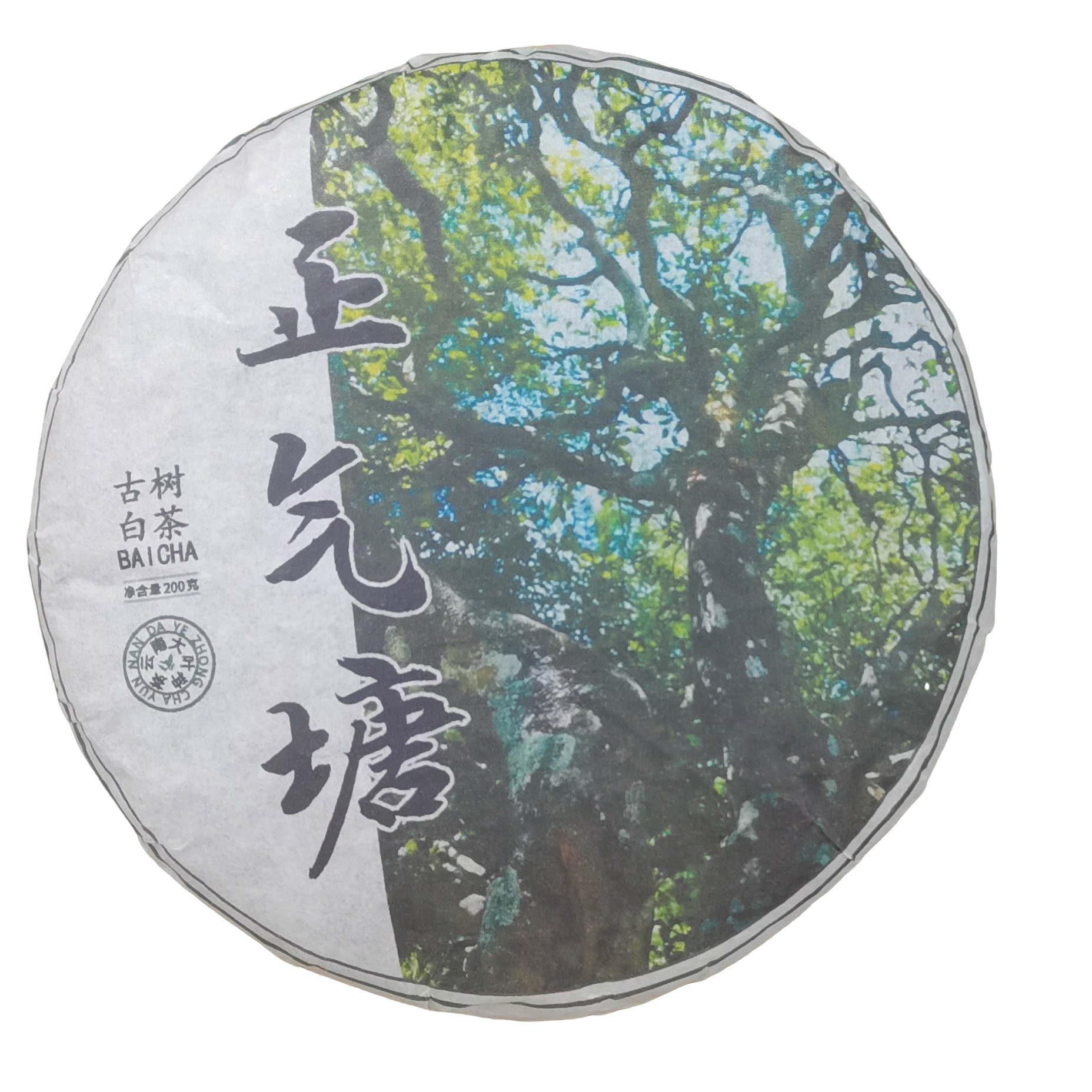 老徐开播福利 2024春【正气塘·古树白茶】紧压白茶饼茶-6月10日【01】