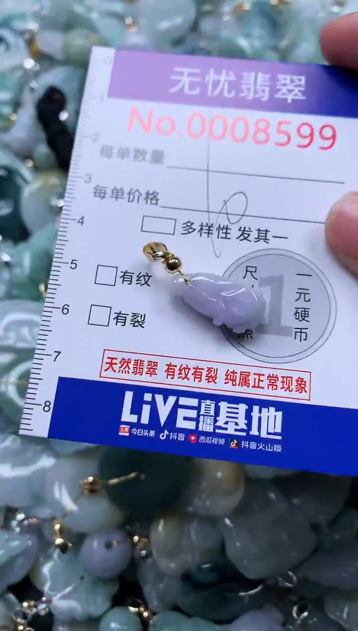 颈饰未镶嵌翡翠8599