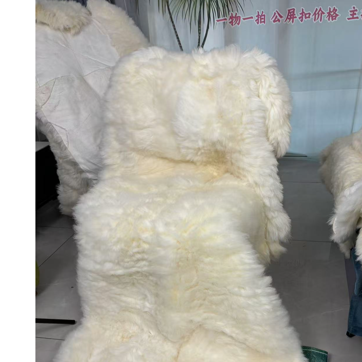 羊毛褥子真皮毛一体床垫老人加厚毛毯学生宿舍单人保暖绵羊垫子冬