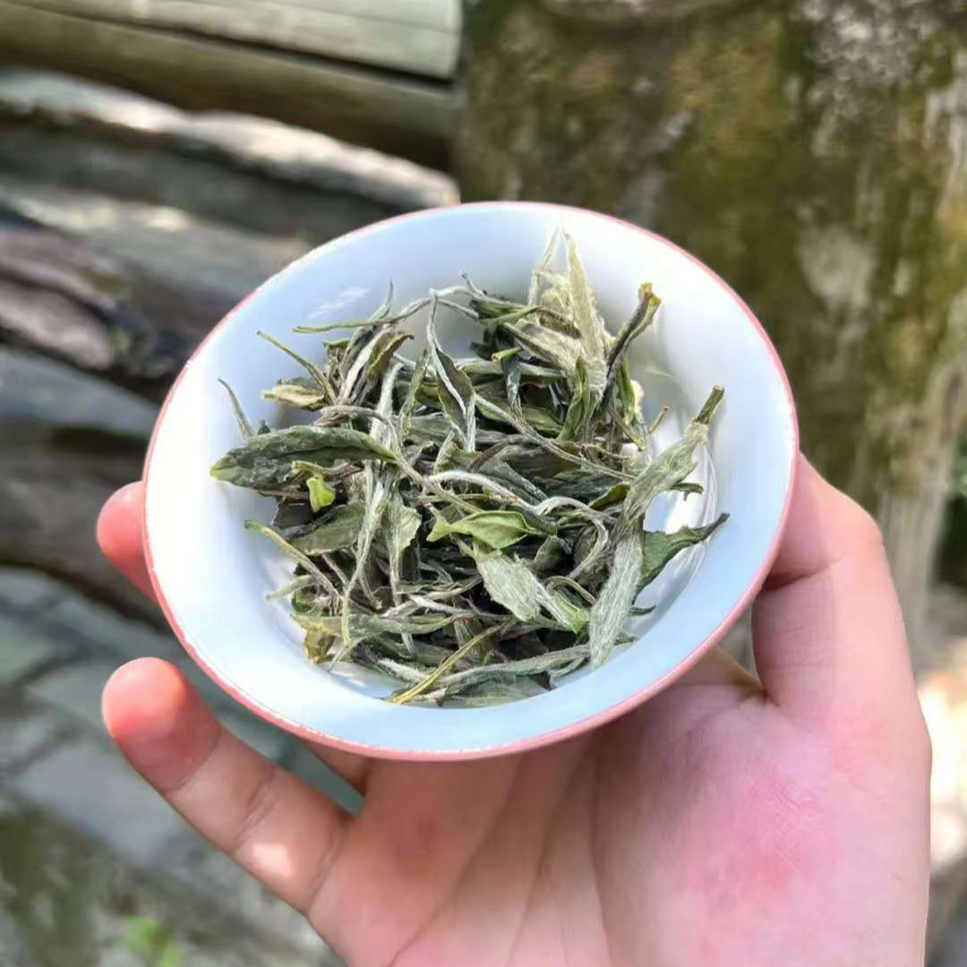 福鼎白茶  2025银针代替链接