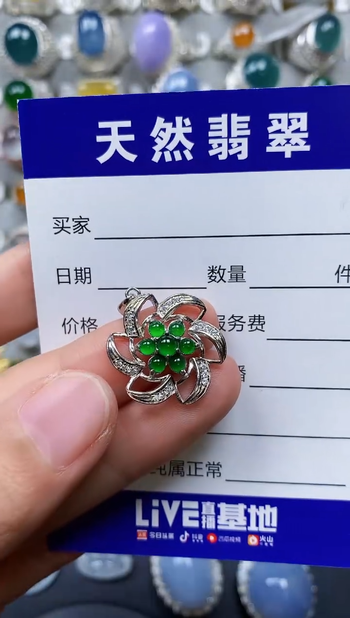 【闪购商品】翡翠颈饰银S925镶嵌0517