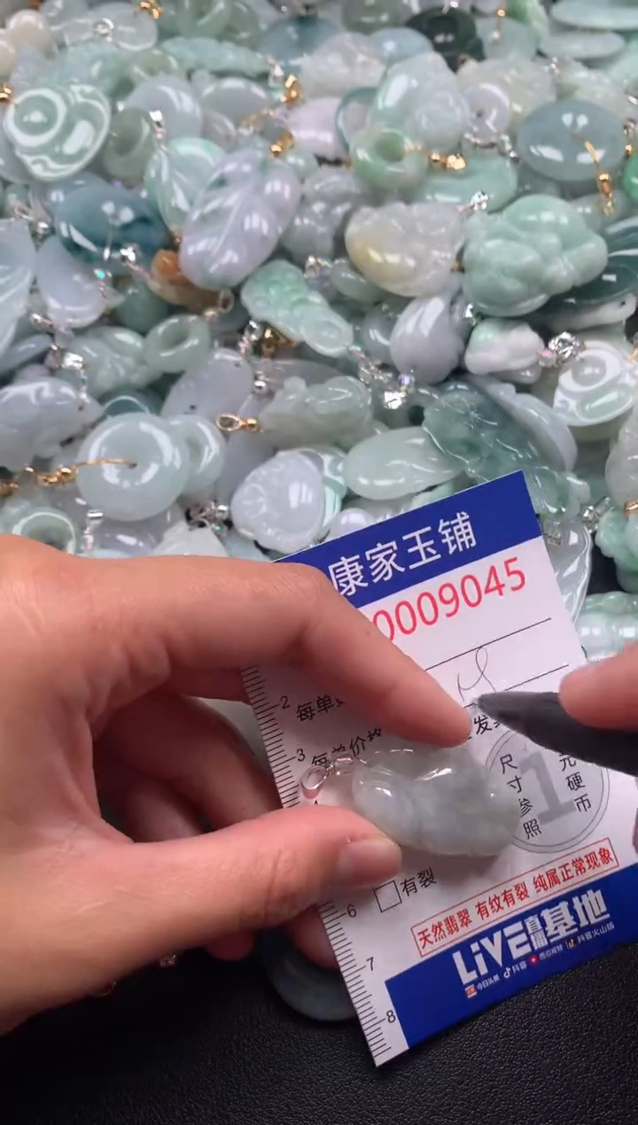 颈饰未镶嵌翡翠9045