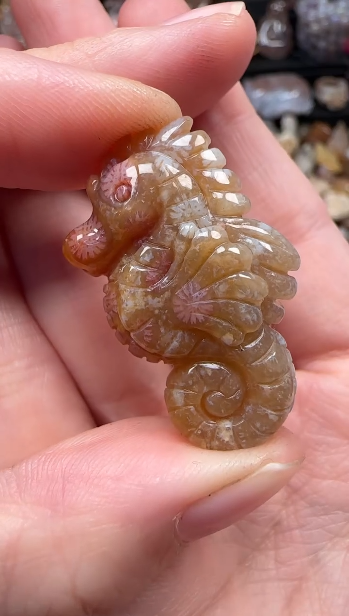 颈饰未镶嵌硅化珊瑚（珊瑚玉）931