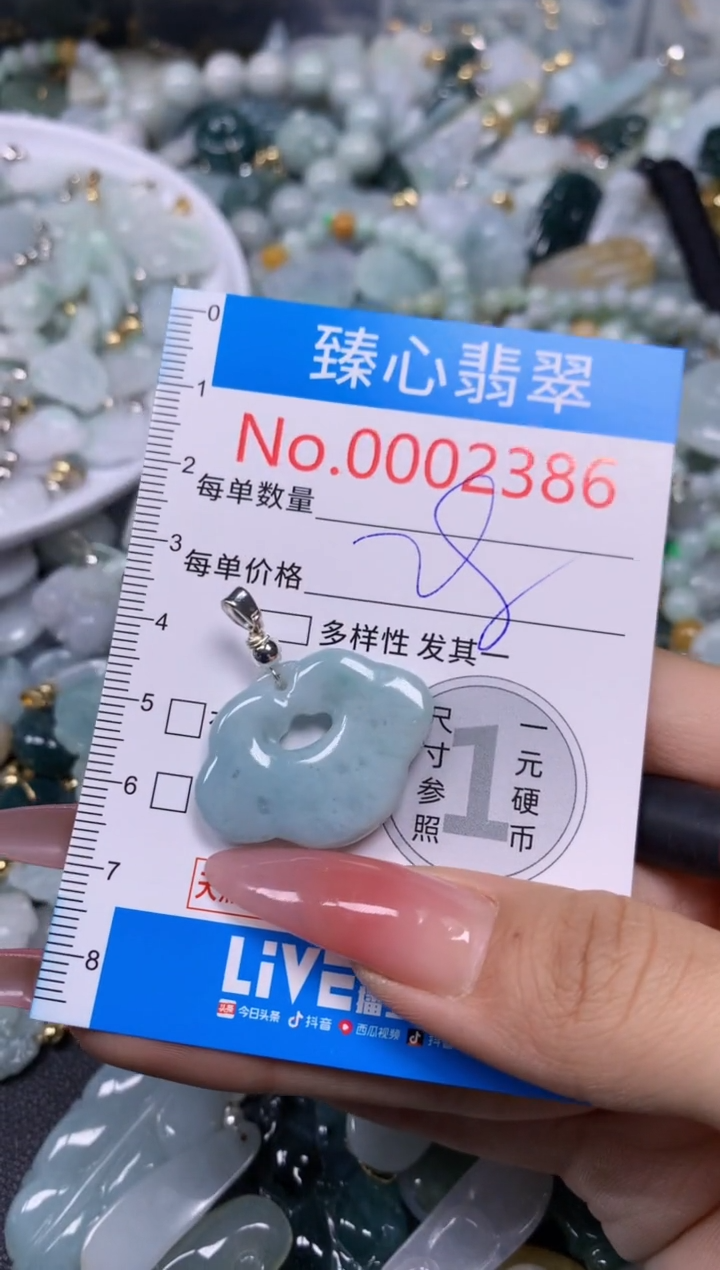 【闪购商品】翡翠颈饰未镶嵌含绳0002386