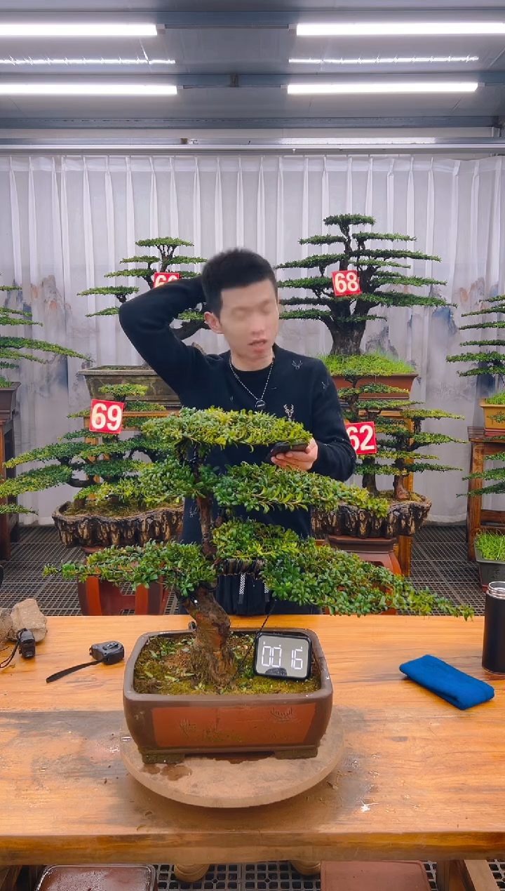 【闪购商品】紫砂精品盆景直播间一物一拍