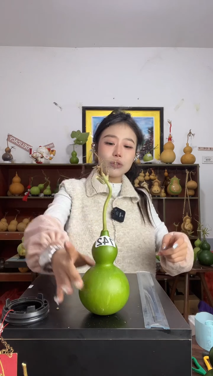 742天然葫芦摆件 一物一拍龙头不保售后