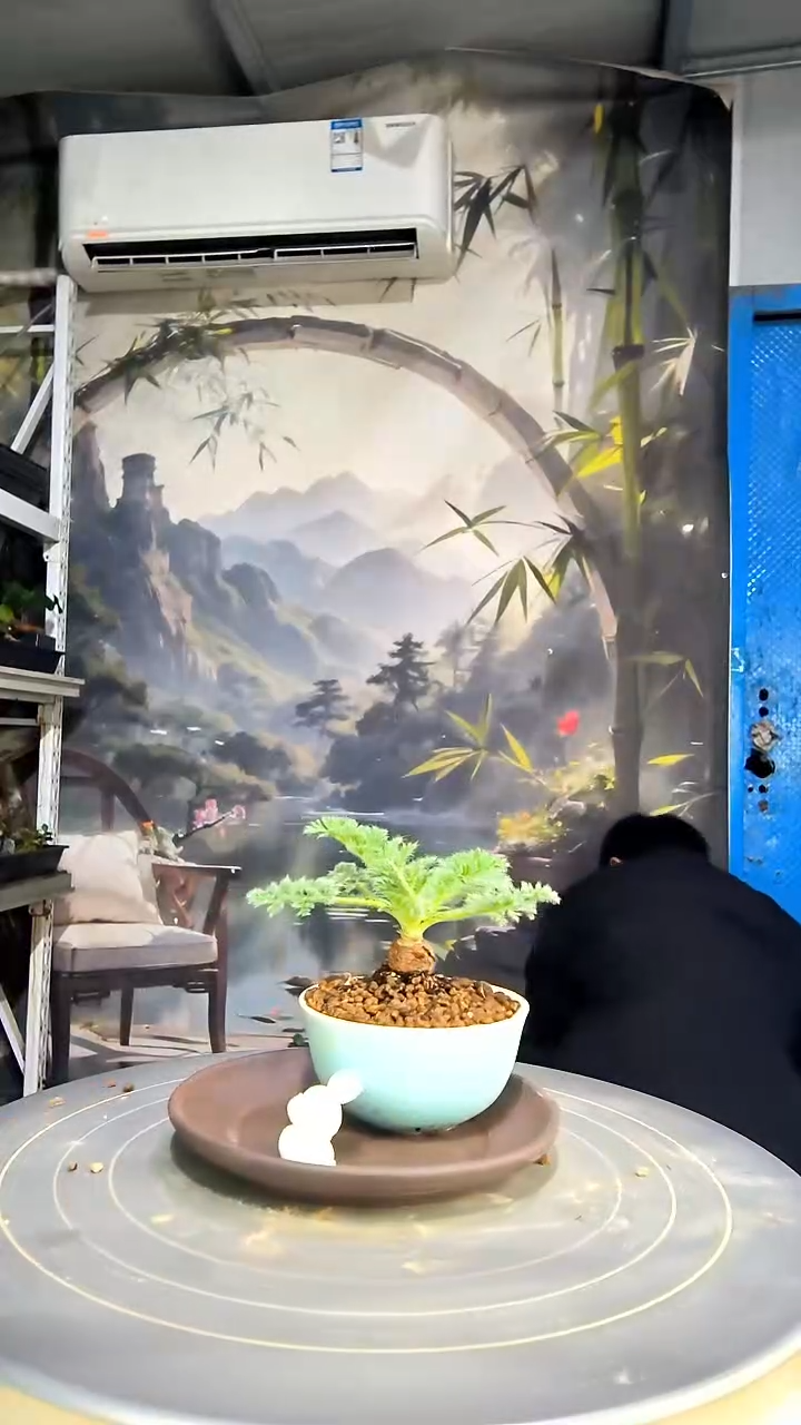 三***L中青园艺一物一拍花473