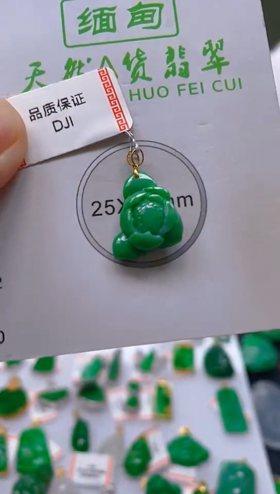 【闪购商品】翡翠颈饰18K金镶嵌新号开播，全场乱卖