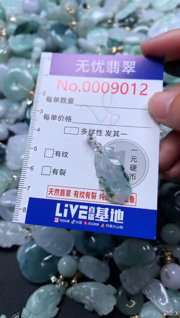 颈饰未镶嵌翡翠9012