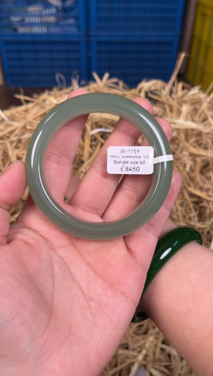 未镶嵌手镯石英质玉W1159