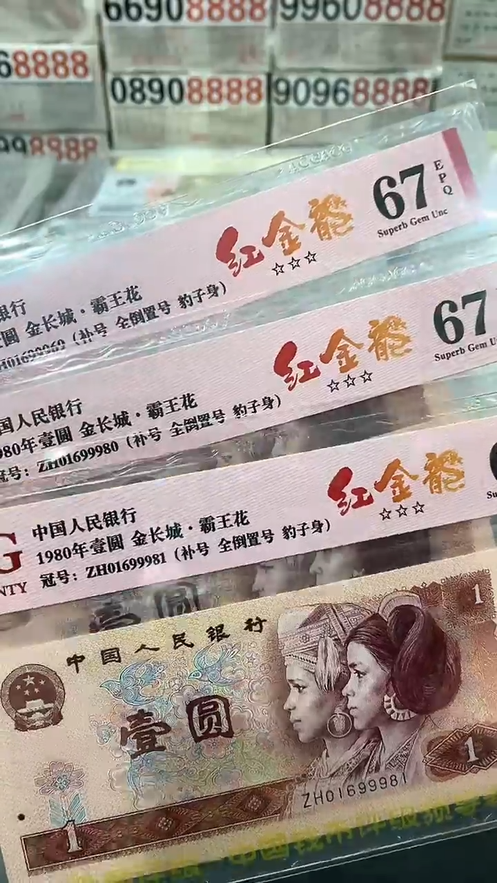 801红金龙补号ZH倒置 67分
