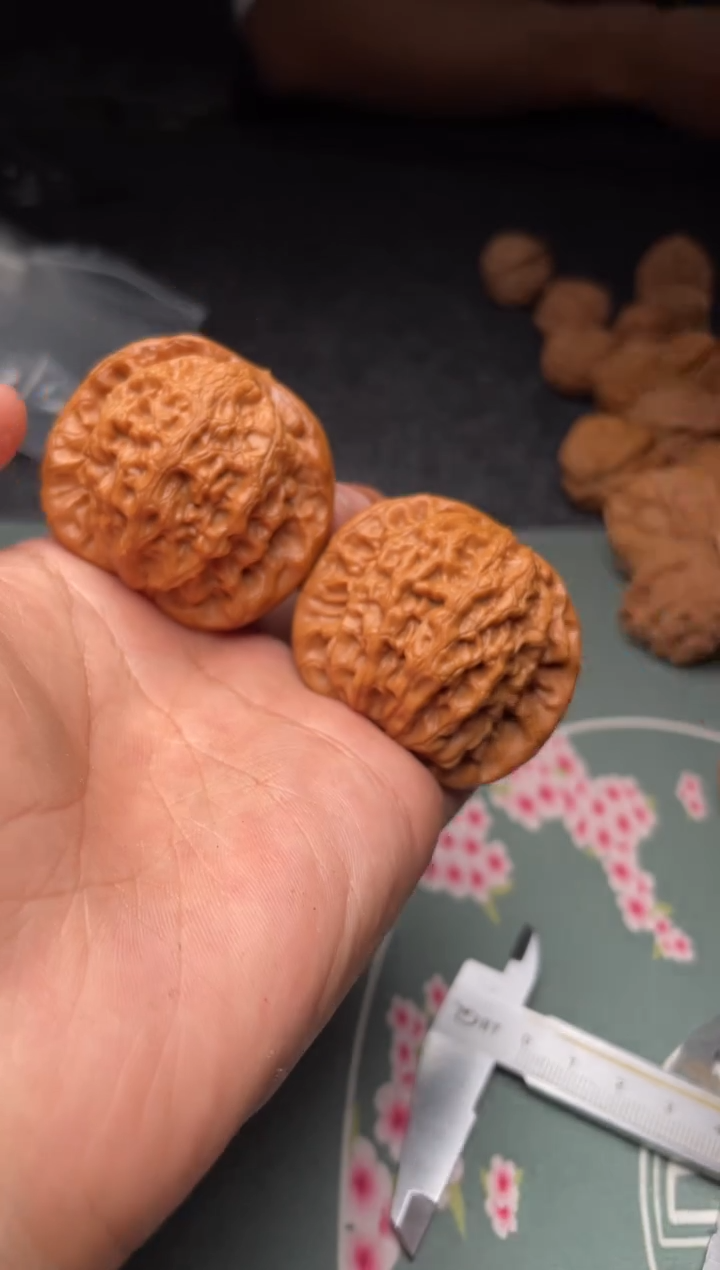 核桃a163   金公子   46尺