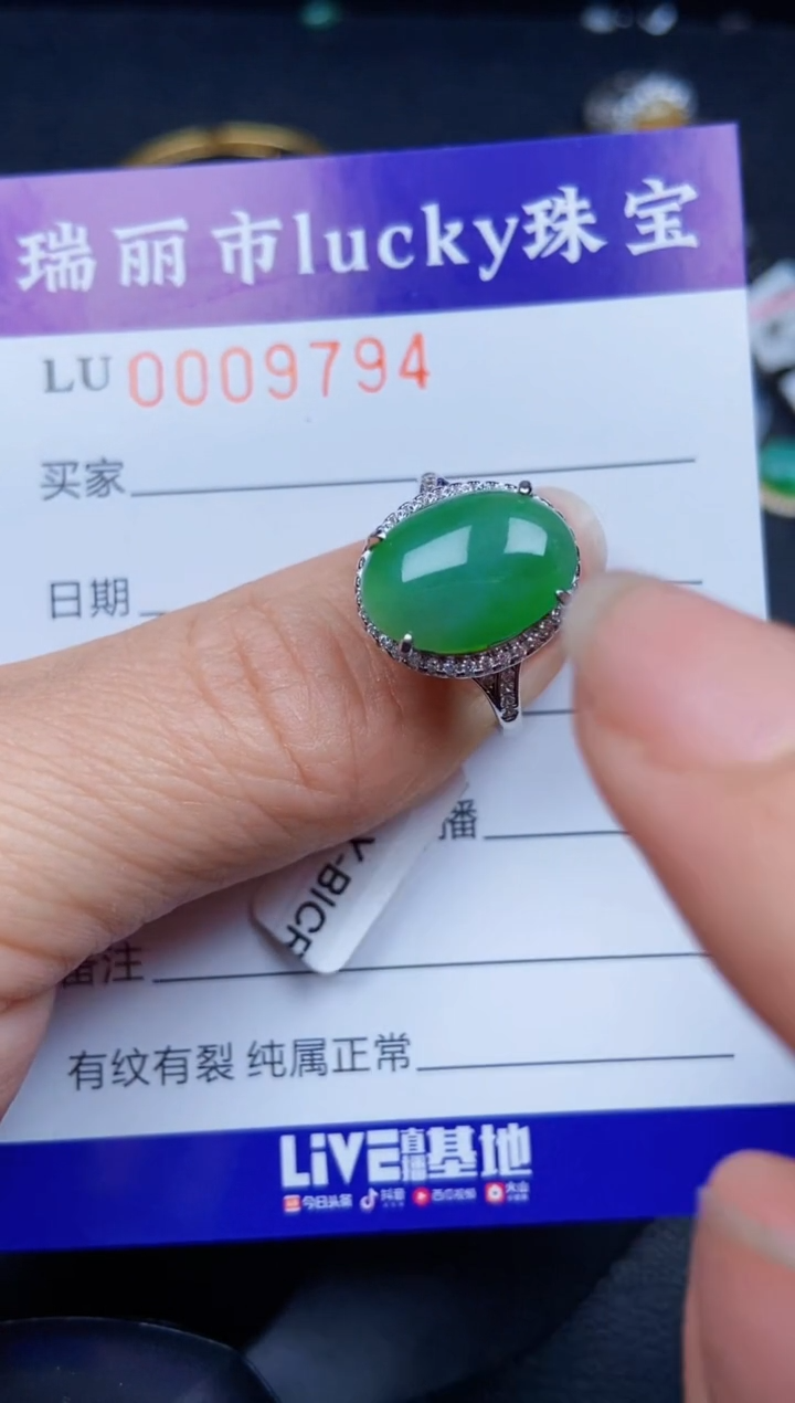 【闪购商品】翡翠颈饰银S925镶嵌9794