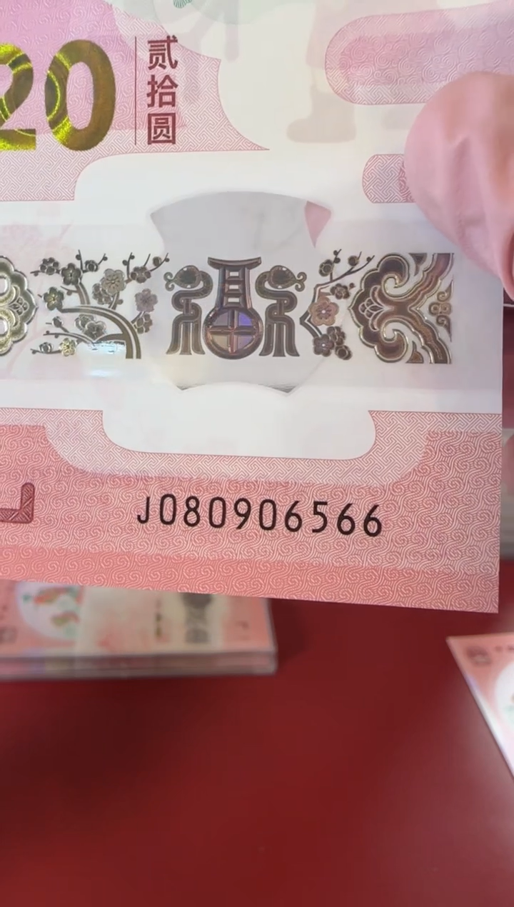 【闪购商品】塑料25蛇钞080906566单张裸