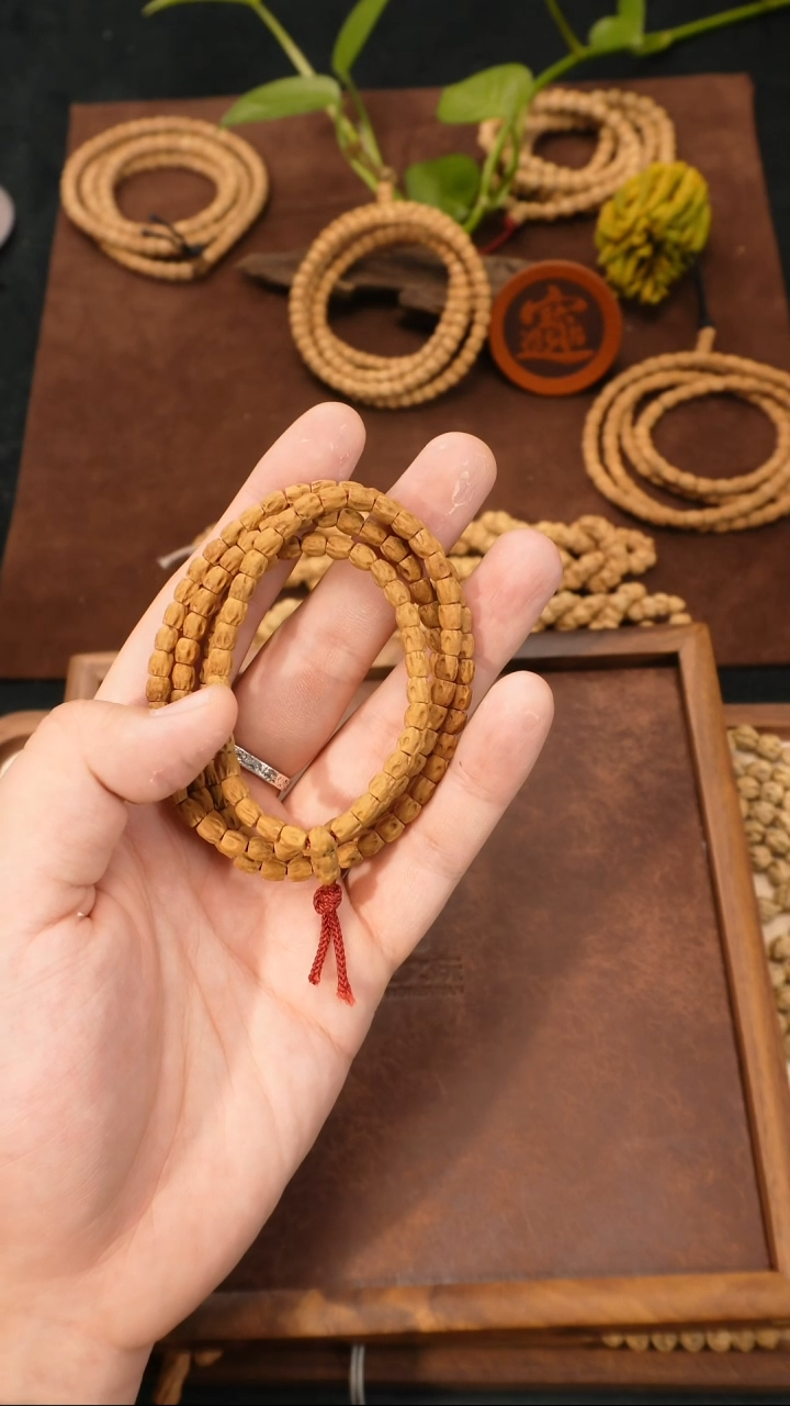 手串柏香籽/百香籽侯*见上