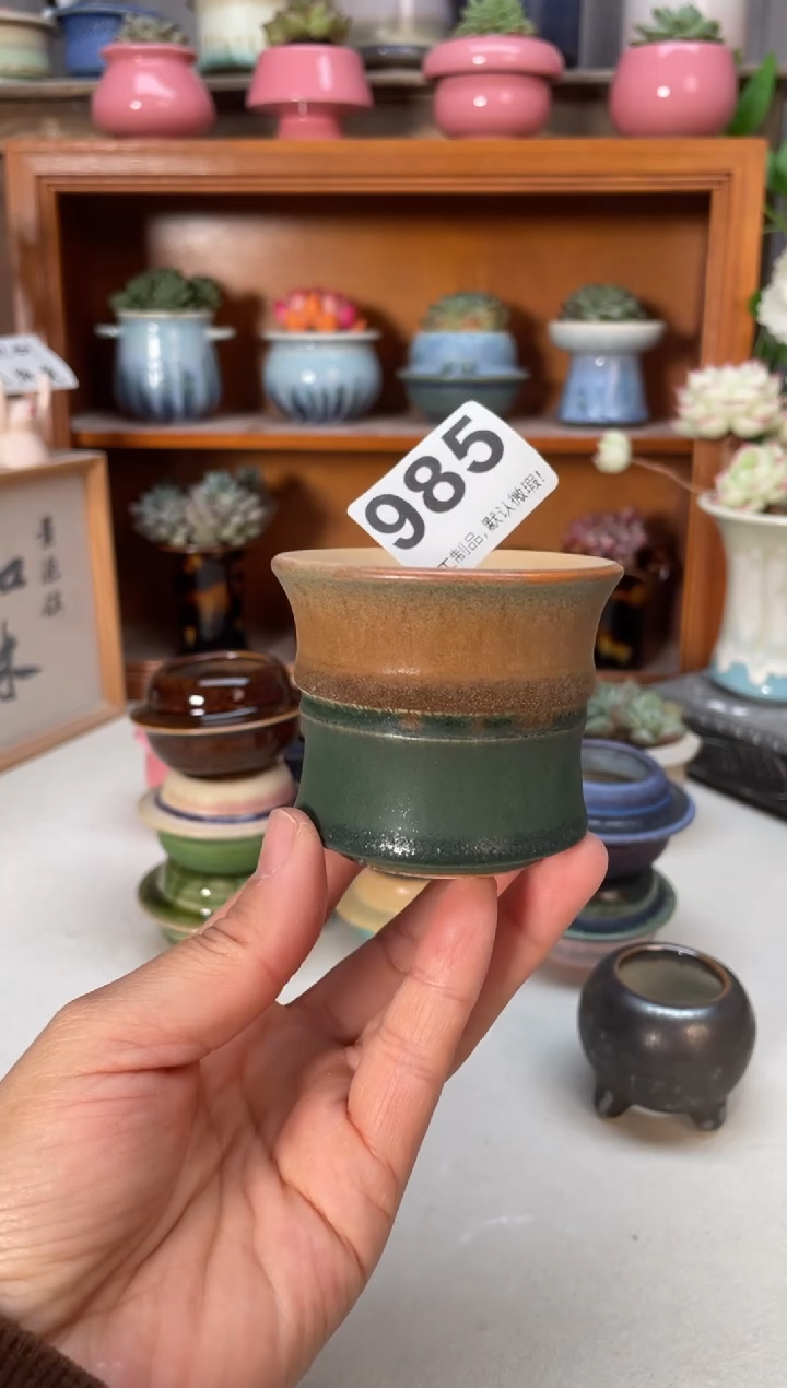 瓷片985小芳直播编号