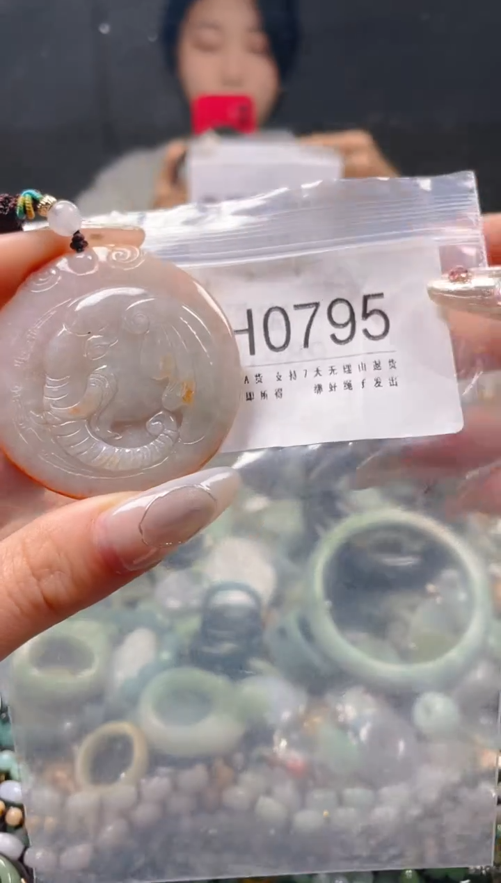 【闪购商品】翡翠颈饰未镶嵌/H/翡翠A货一图一物