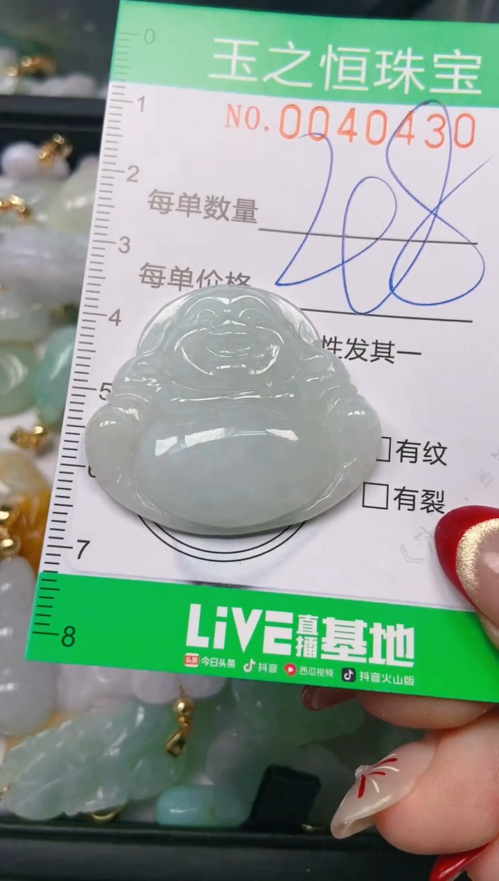 【闪购商品】翡翠颈饰未镶嵌闪购0040430