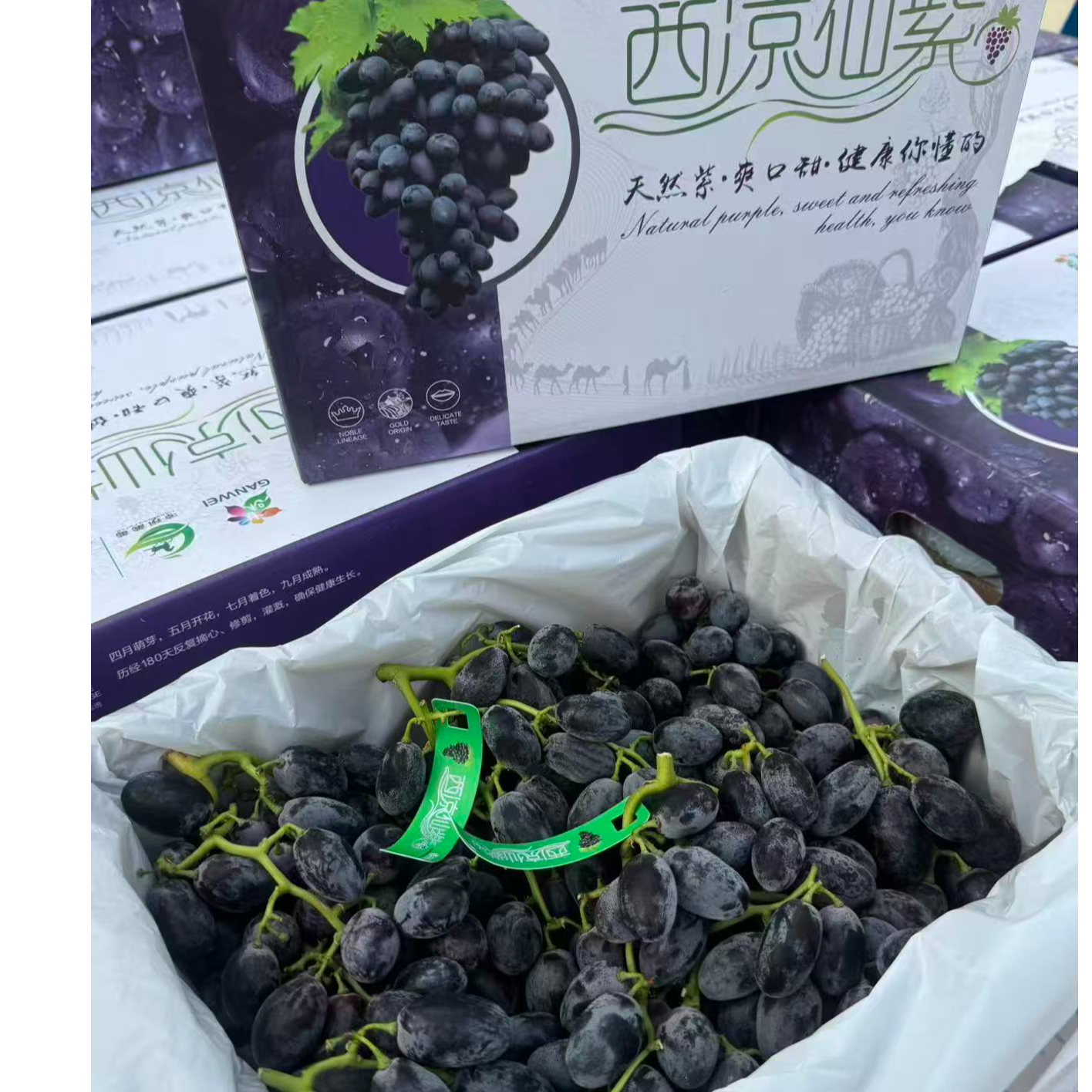 【绿野大叔】祁连山西凉仙紫嫩甜多汁2斤分装和5斤原箱-顺丰