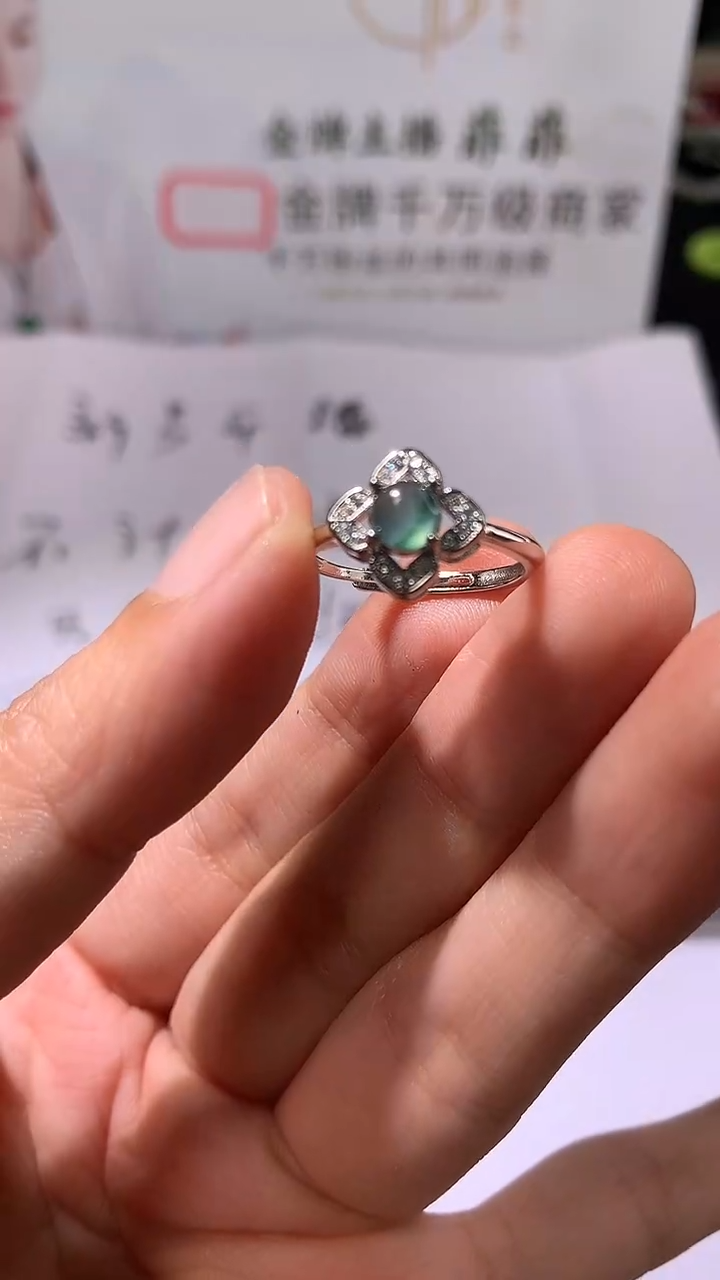 颈饰未镶嵌翡翠A13