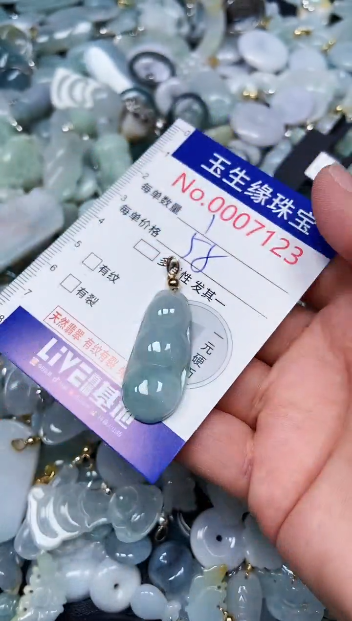 【闪购商品】翡翠颈饰未镶嵌闪购00007123