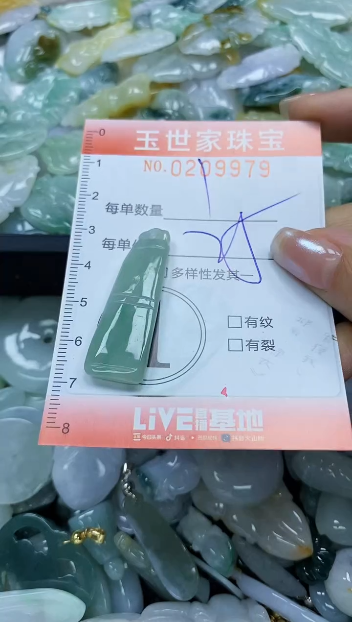 【闪购商品】翡翠颈饰未镶嵌闪购0209979