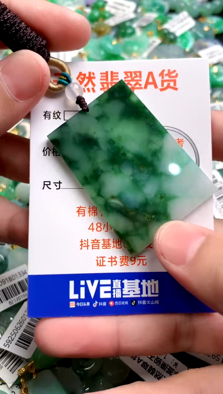 颈饰未镶嵌翡翠0348703167