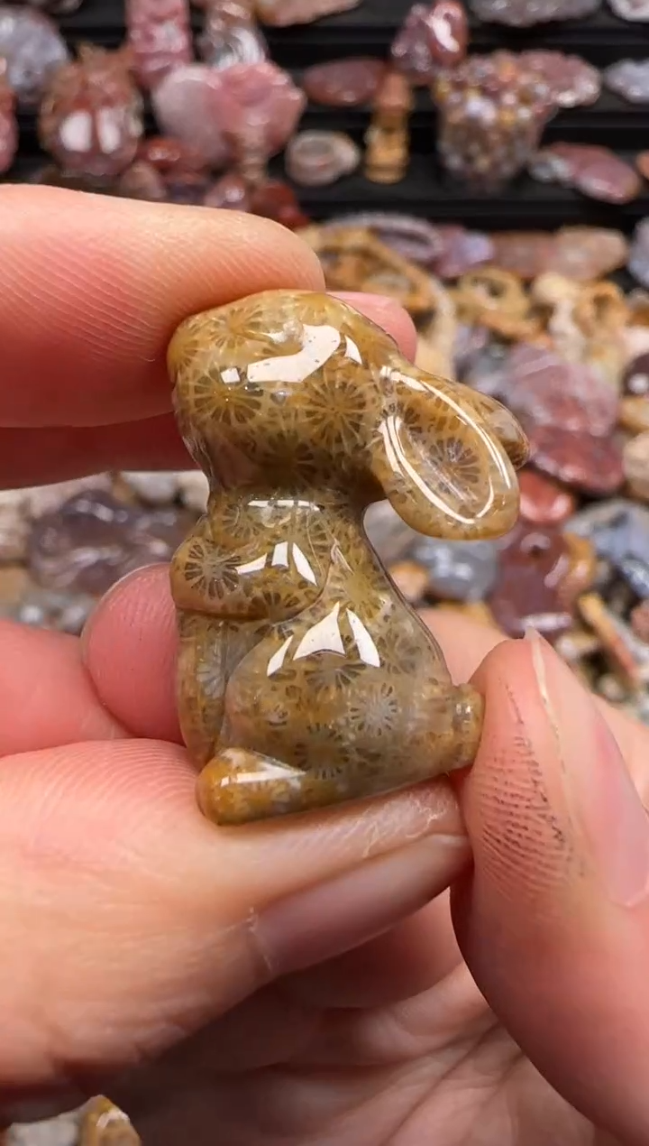 【闪购商品】硅化珊瑚（珊瑚玉）颈饰未镶嵌543