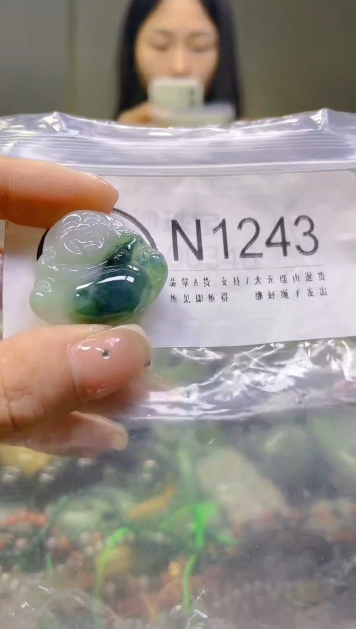 翡翠未镶嵌颈饰/N/翡翠A货一图一物